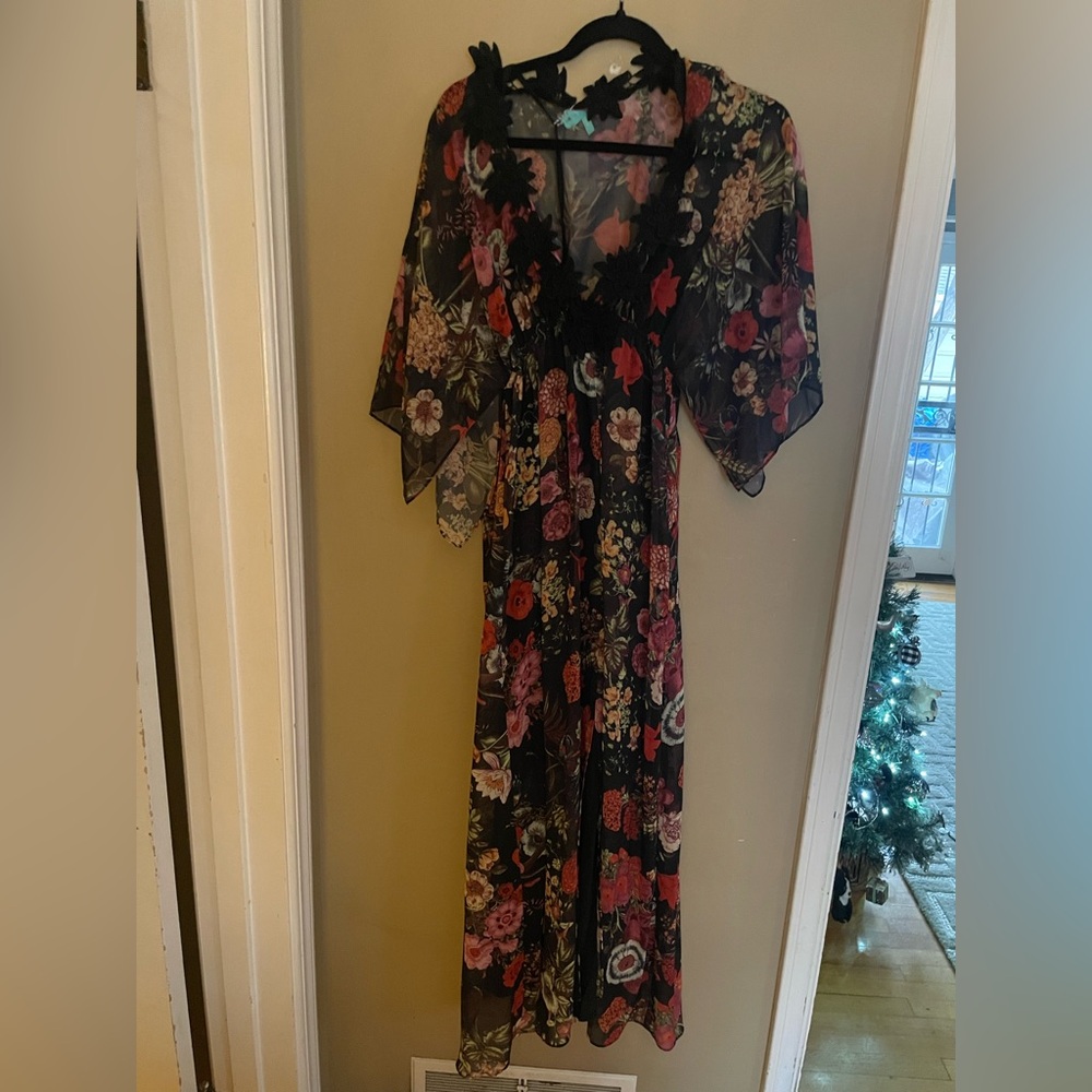 Anthropologie Farm Rio sheer long dress with slip